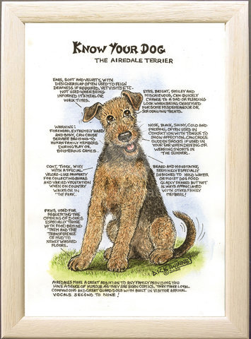 Image of The Airedale Terrier